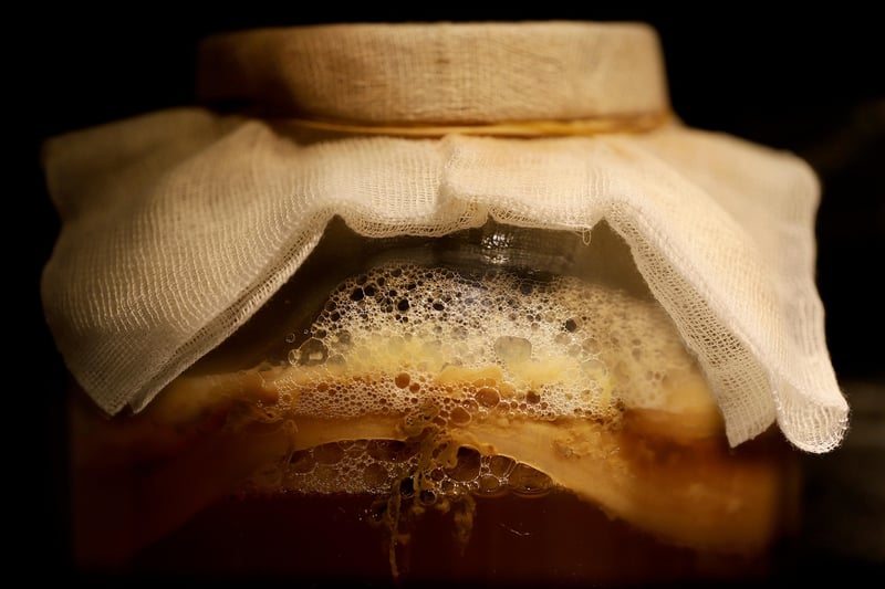 Fermented Flavors